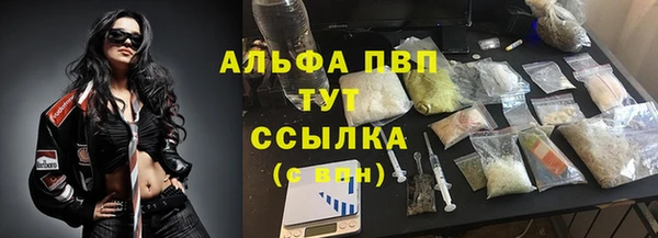 apvp Краснослободск
