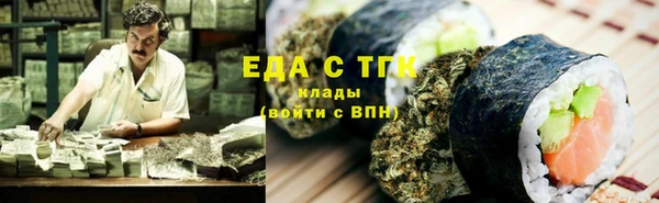индика Краснотурьинск