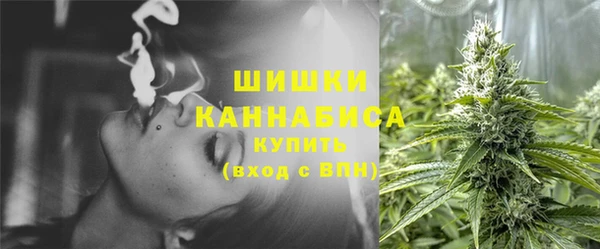 apvp Краснослободск