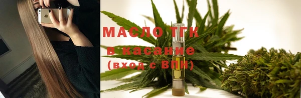 индика Краснотурьинск