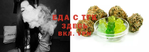 индика Краснотурьинск