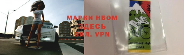 индика Краснотурьинск