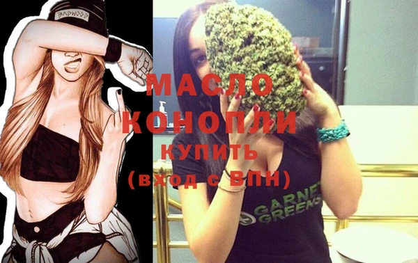 индика Краснотурьинск