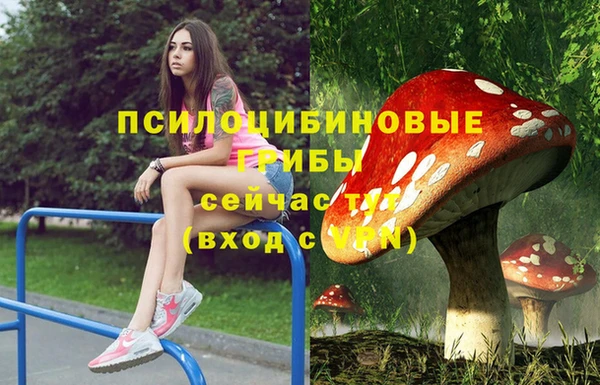 apvp Краснослободск