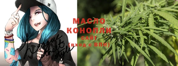 индика Краснотурьинск