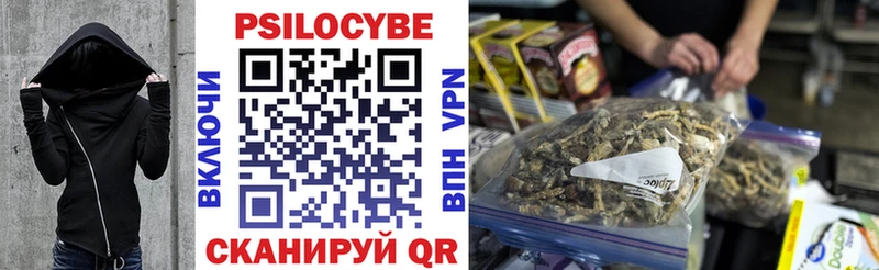 Псилоцибиновые грибы GOLDEN TEACHER это как зайти Стародуб